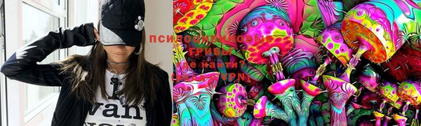 метадон Белокуриха