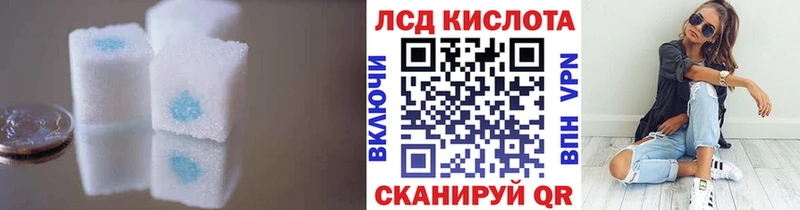 ссылка на мегу как войти  Красный Кут  LSD-25 экстази ecstasy  магазин продажи наркотиков 